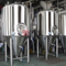 10HL Sprzęt do parzenia piwa rzemieślniczego ze stali nierdzewnej Maszyna do produkcji komercyjnej na sprzedaż