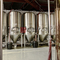 Sprzedaż ciśnieniowego i izolowanego zbiornika fermentacyjnego piwa ze stali nierdzewnej 500L