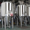 15 BBL Conical-Bottom Fermenter (Unitank) zbiornik przemysłowy do fermentacji piwa cena Australia