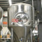 200L pod klucz fermentor do fermentacji piwa ze stali nierdzewnej z certyfikatem PED do użytku domowego browaru z piwem